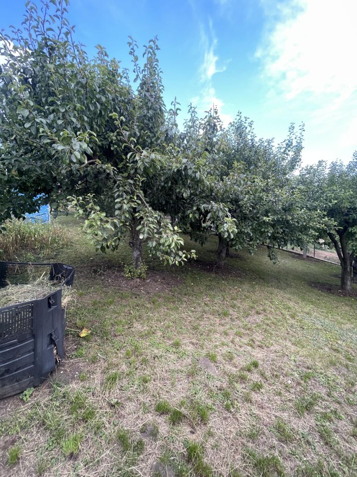 Działka rod Wieniec-Zalesie Dziadowo-Folwark, ul. Zdrojowa. Zdjęcie 5