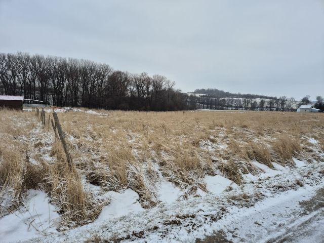 Działka budowlana Przerzeczyn-Zdrój, ul. Batalionów Chłopskich. Zdjęcie 1