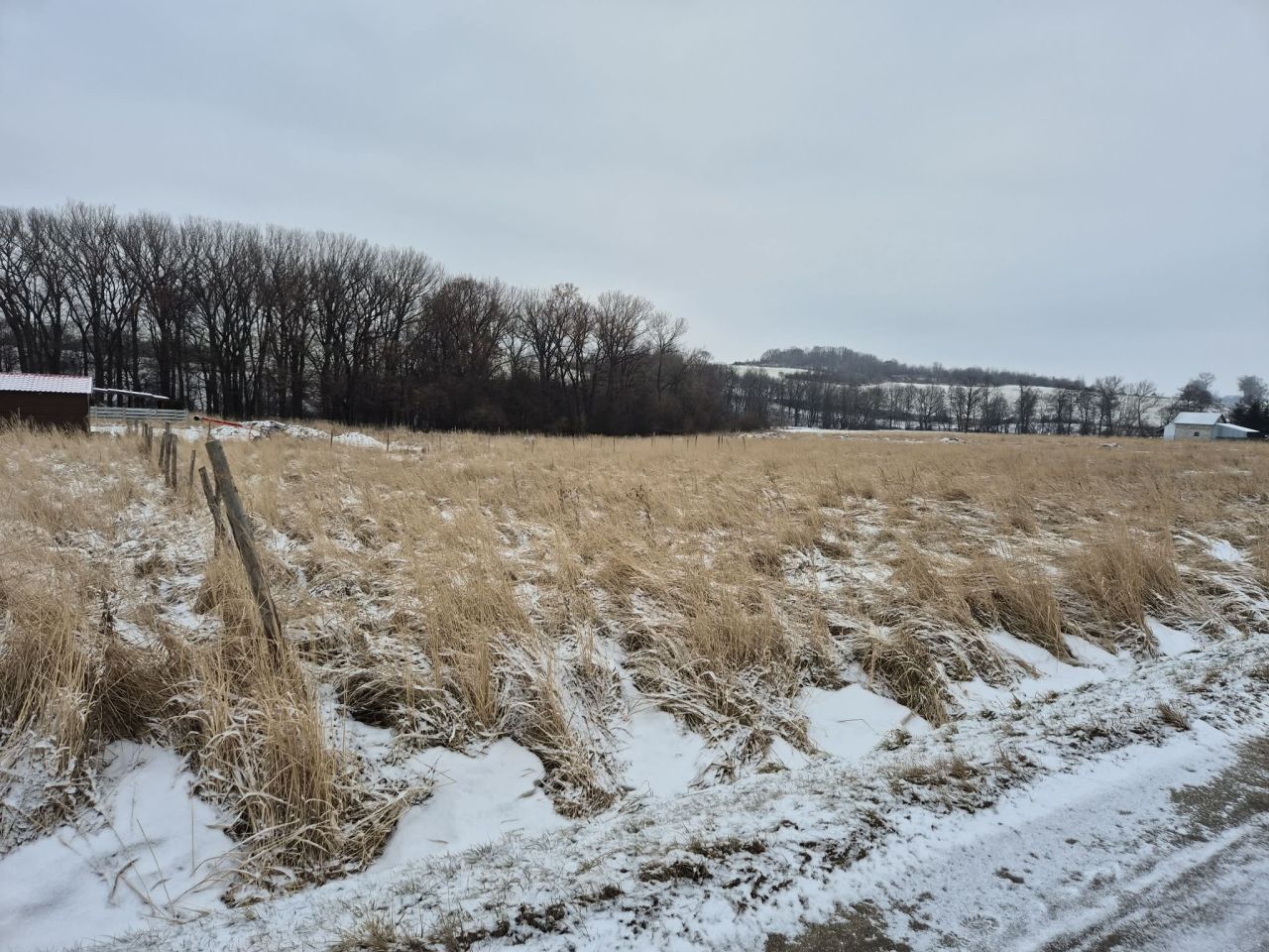 Działka budowlana Przerzeczyn-Zdrój, ul. Batalionów Chłopskich. Zdjęcie 2
