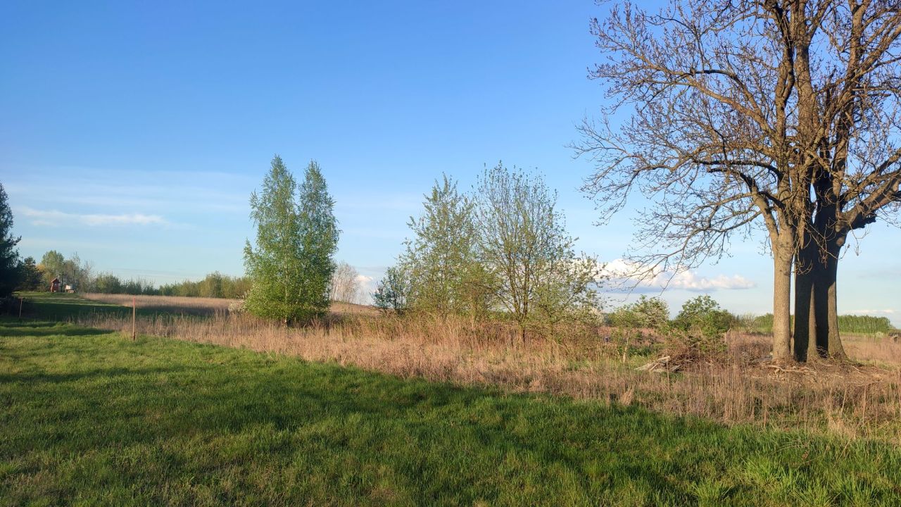 Działka budowlana Stok Lacki, ul. Pałacowa. Zdjęcie 4