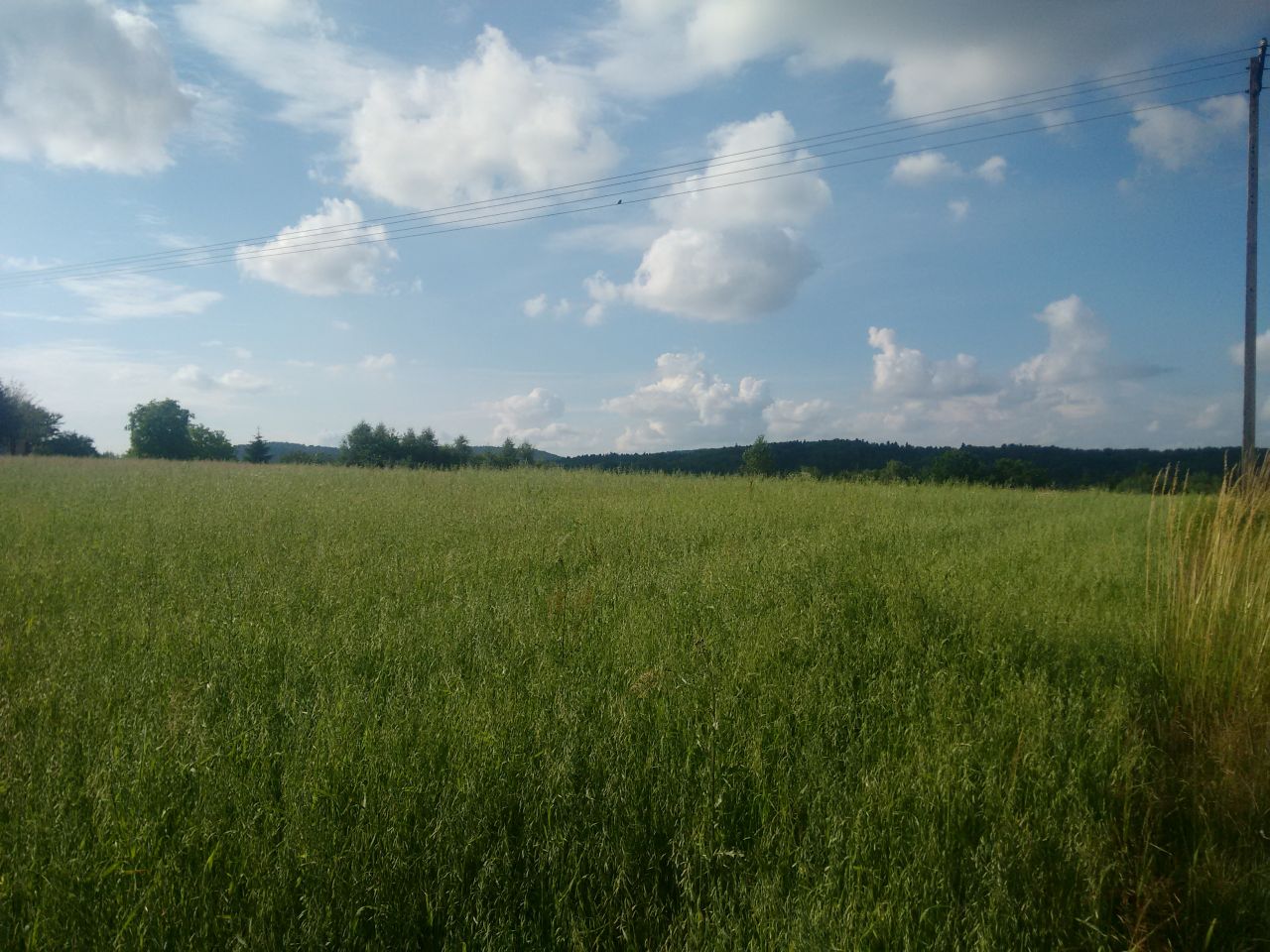 Działka budowlana Glinik Średni Kamieniec. Zdjęcie 5