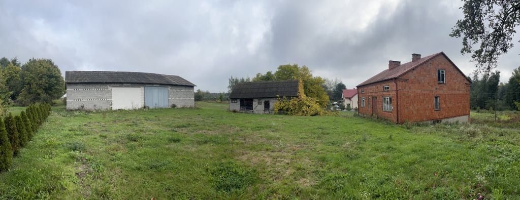 gospodarstwo Chojnata. Zdjęcie 7