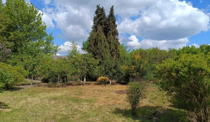 Działka rod Radom, ul. Uniwersytecka