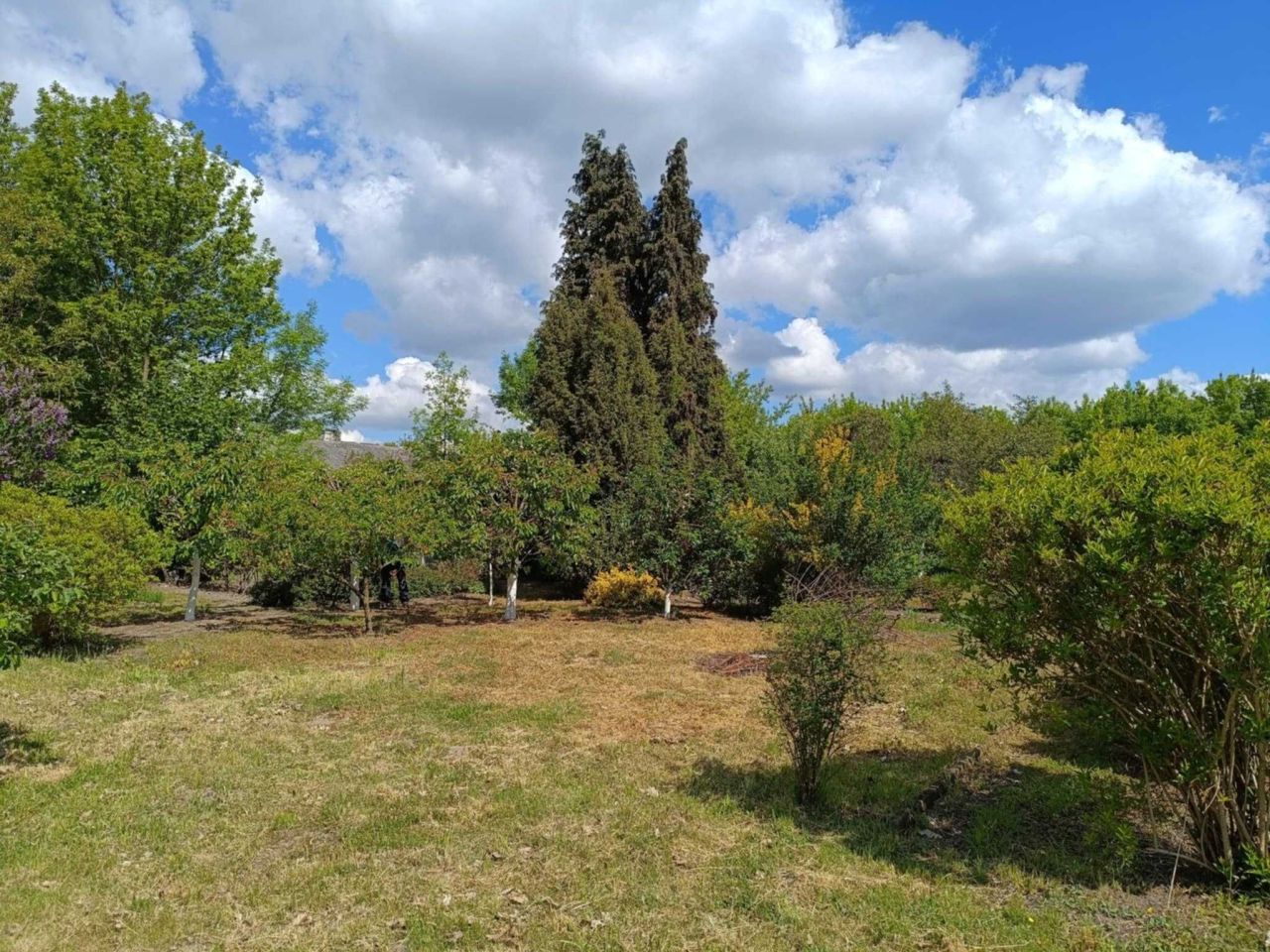 Działka rod Radom, ul. Uniwersytecka