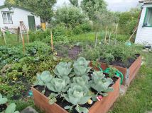 Działka rod Biała Podlaska. Zdjęcie 1