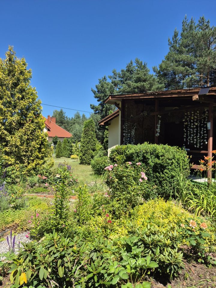 Działka budowlana Adamów-Wieś. Zdjęcie 6