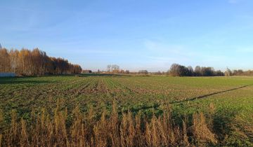 Działka budowlana Dokudów Pierwszy