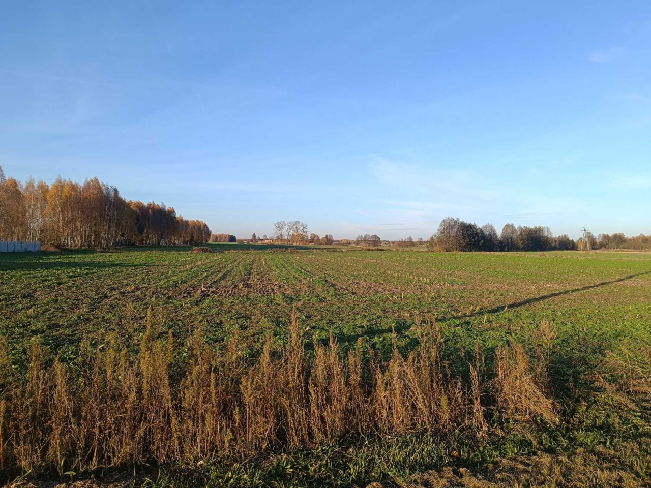 Działka budowlana Dokudów Pierwszy