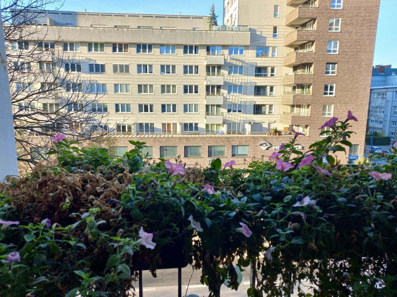 Mieszkanie 1-pokojowe Warszawa Śródmieście, ul. Pokorna. Zdjęcie 10