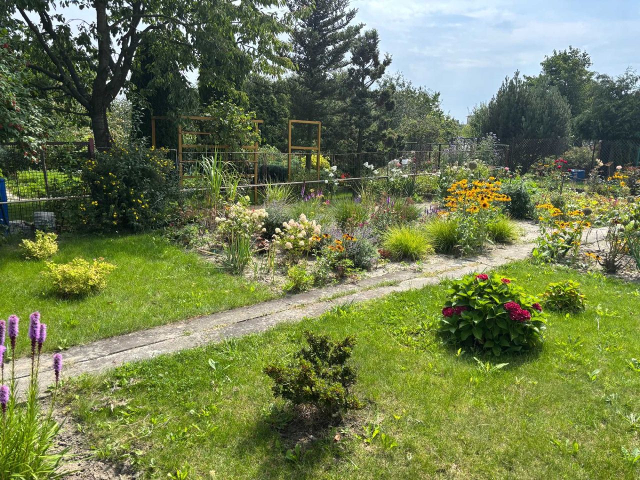 Działka rod Jędrzejów. Zdjęcie 2