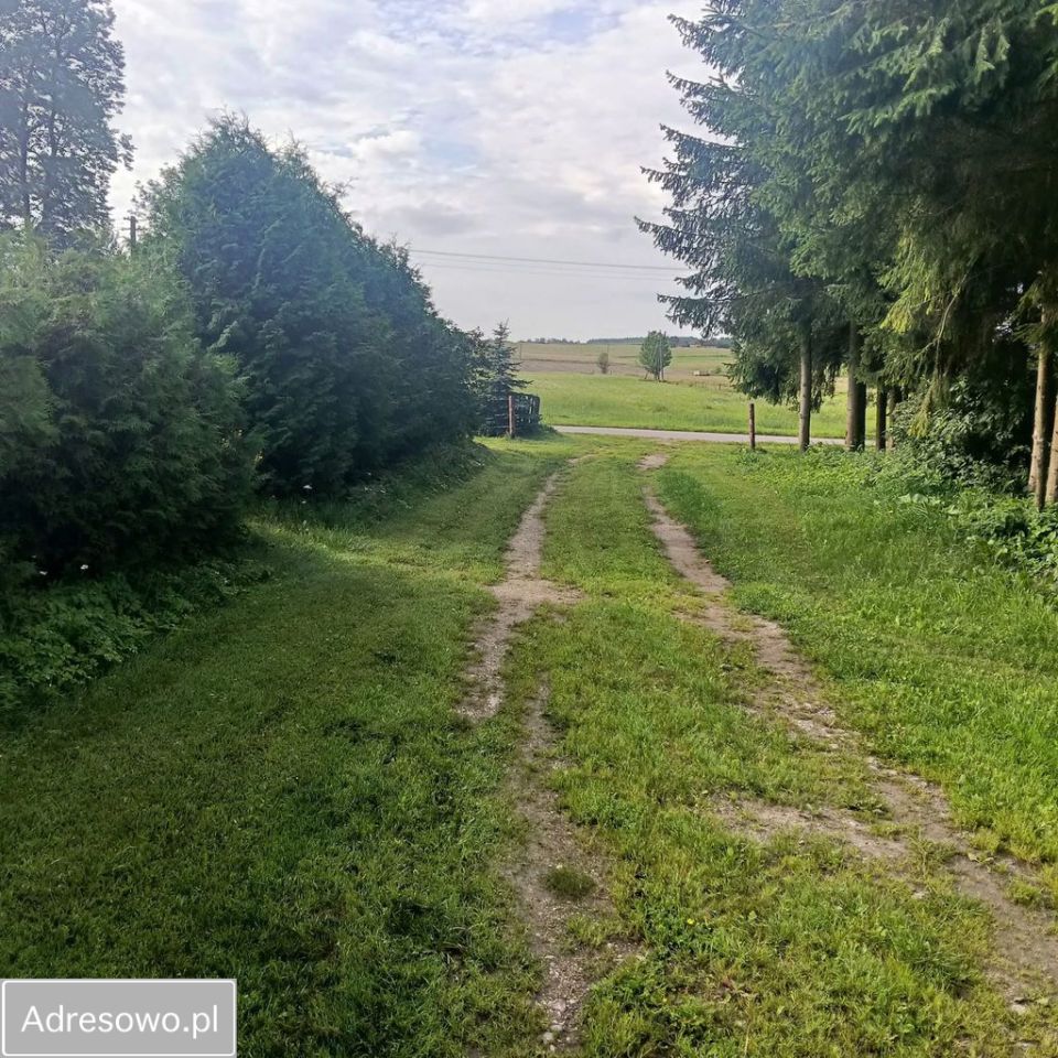 gospodarstwo Kierzki. Zdjęcie 12