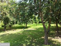 dom wolnostojący, 6 pokoi Wolice. Zdjęcie 2