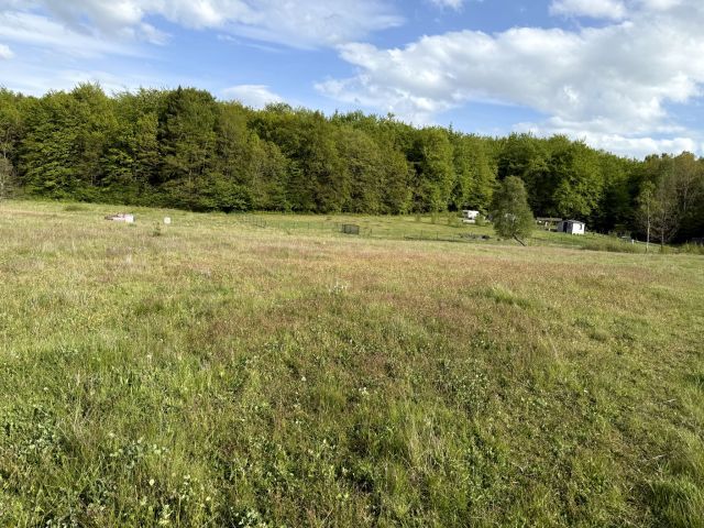 Działka rolno-budowlana Trzepowo, ul. Witosławy. Zdjęcie 1