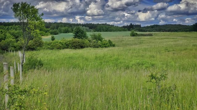 Działka rolna Łęgowo. Zdjęcie 1
