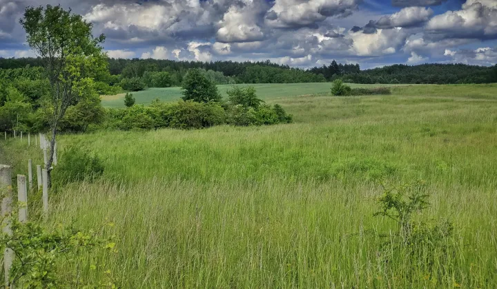 Działka rolna Łęgowo