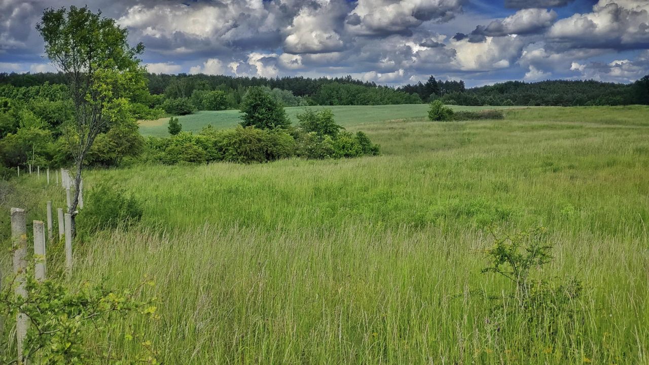 Działka rolna Łęgowo