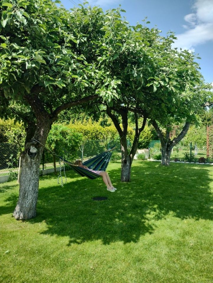 Działka rod Jastrzębie-Zdrój, ul. Rotmistrza Pileckiego. Zdjęcie 3