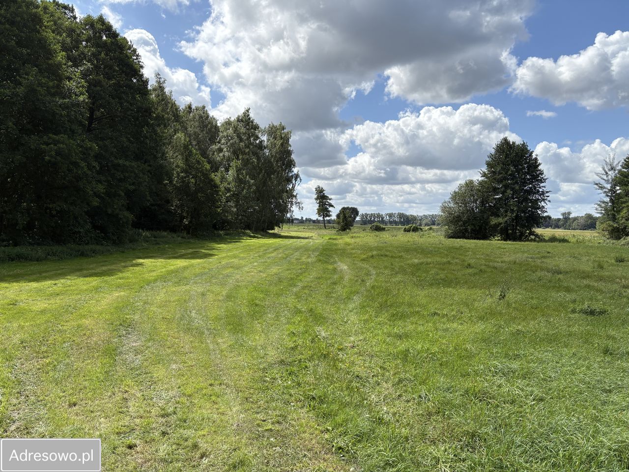 Działka rolna Jeziorko