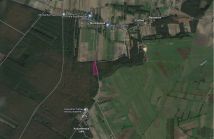 Działka leśna Myszakówek. Zdjęcie 1