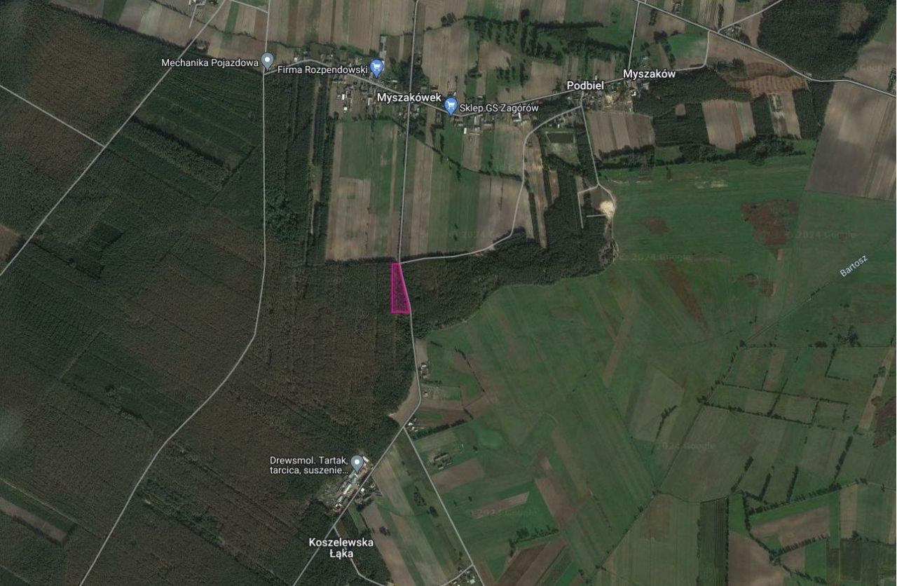 Działka leśna Myszakówek. Zdjęcie 2