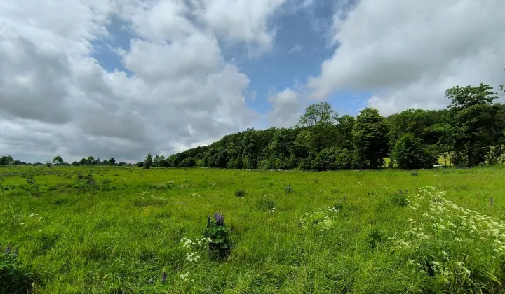 Działka rolna Frączki