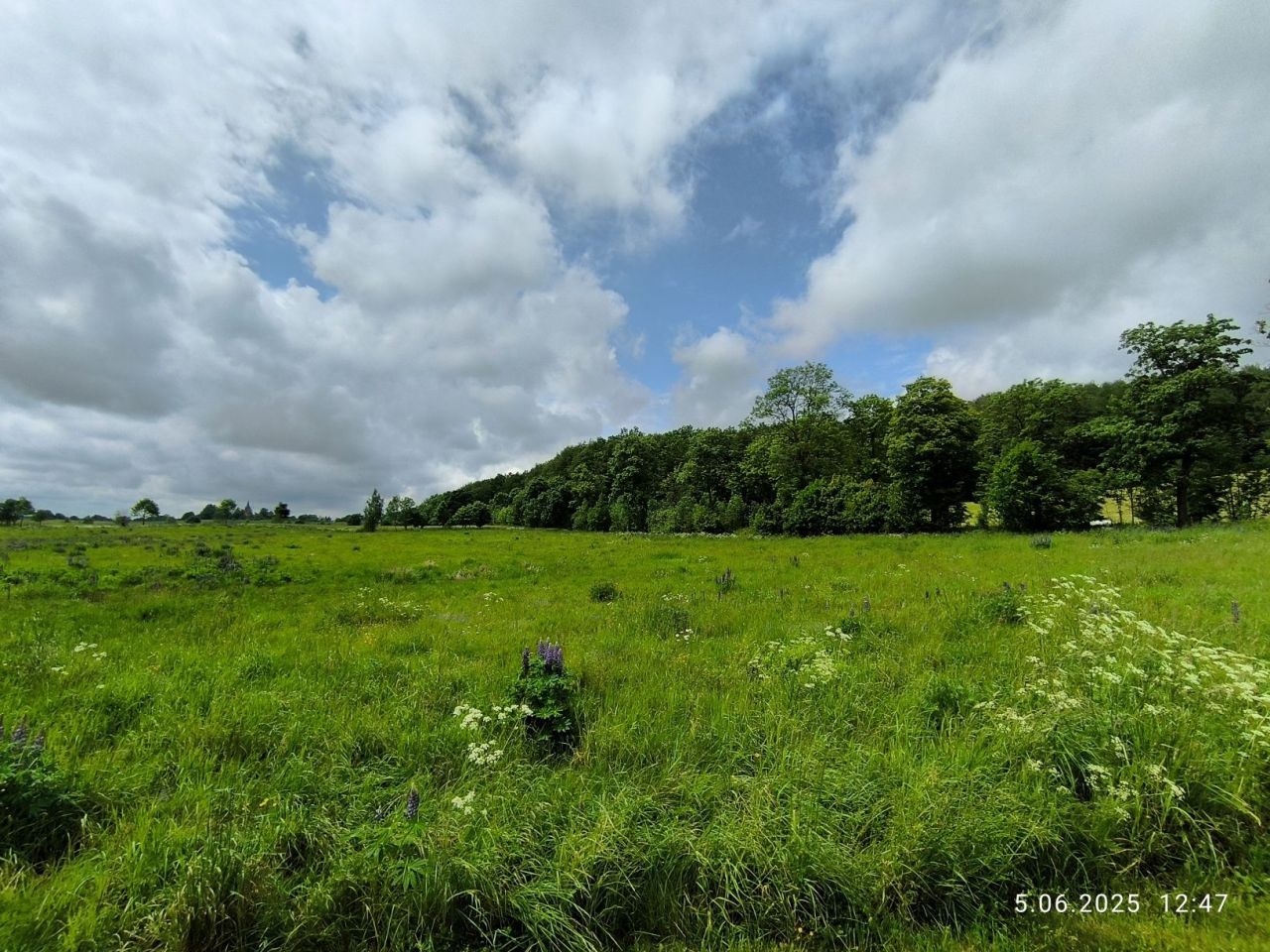 Działka rolna Frączki. Zdjęcie 1