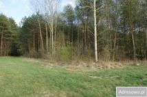 Działka rolno-budowlana Pasynki. Zdjęcie 4