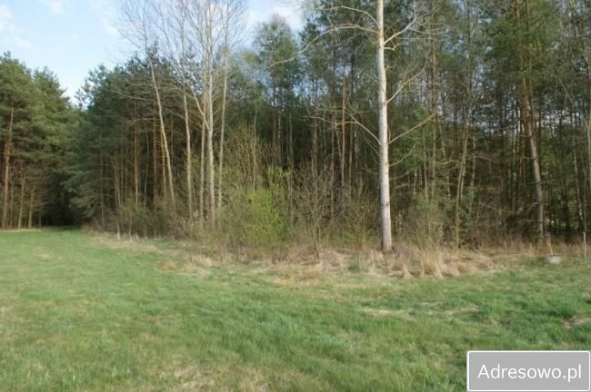 Działka rolno-budowlana Pasynki. Zdjęcie 5