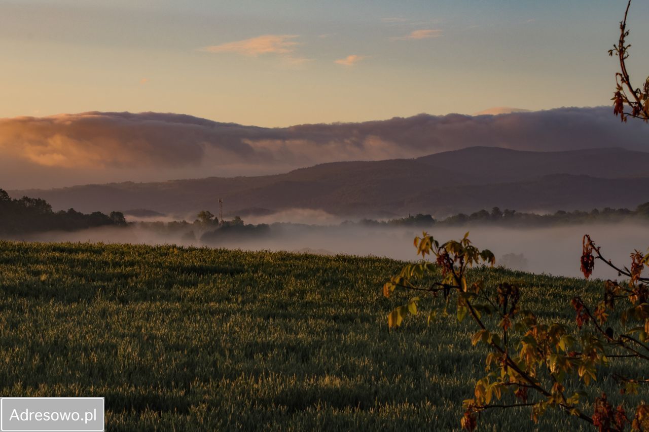 Lokal Dziwiszów, ul. Karkonoska. Zdjęcie 5