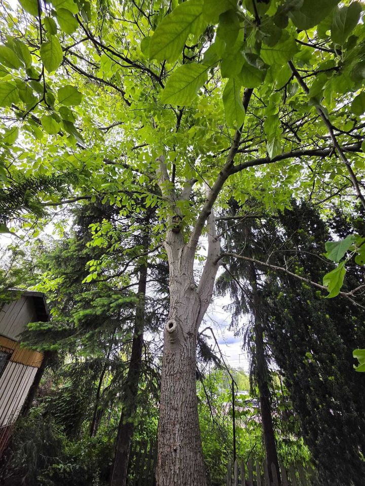 Działka rod Warszawa Mokotów, ul. Jana III Sobieskiego. Zdjęcie 7