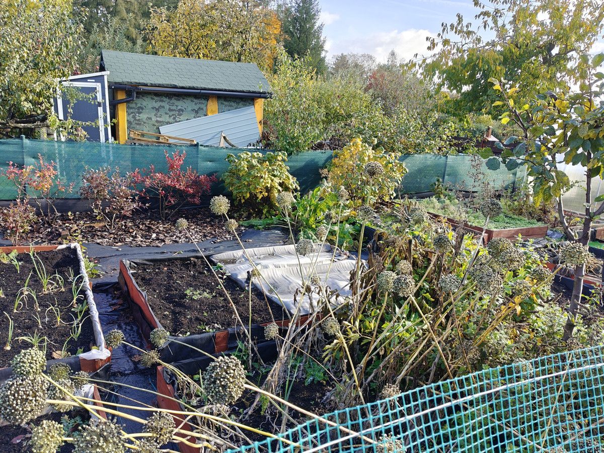 Działka rod Wałbrzych Piaskowa Góra, ul. Wrocławska. Zdjęcie 12