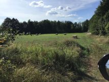 Działka rolna Stare Kiełbonki. Zdjęcie 1