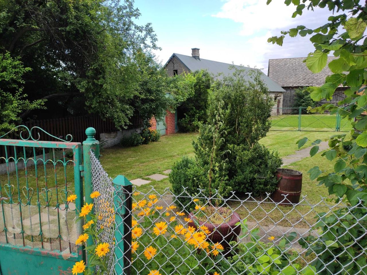 Działka siedliskowa Nowe Groszki. Zdjęcie 7