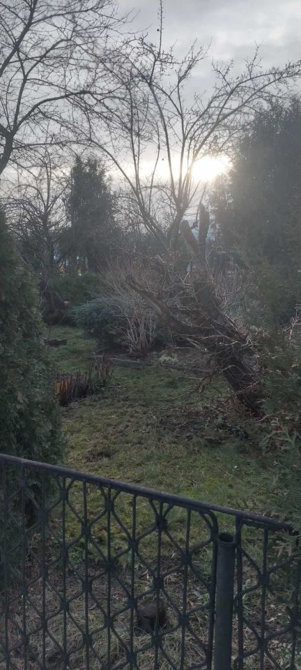 Działka rod Bełchatów, ul. Czapliniecka. Zdjęcie 5