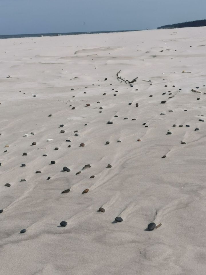 Działka budowlana Słajszewo. Zdjęcie 6