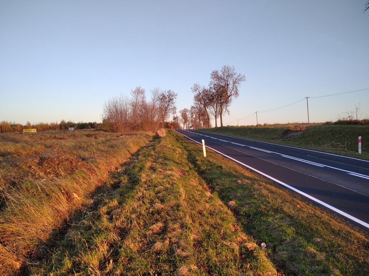 Działka inwestycyjna Lelów, ul. Szczekocińska. Zdjęcie 2