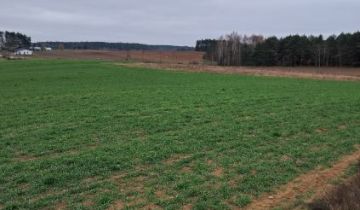 Działka rolno-budowlana Sokółka, Jałówka