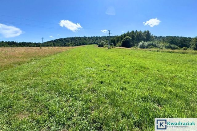 Działka rolna Wańkowa. Zdjęcie 10