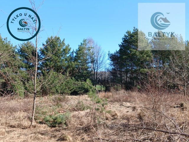 Działka budowlana Gowino. Zdjęcie 7