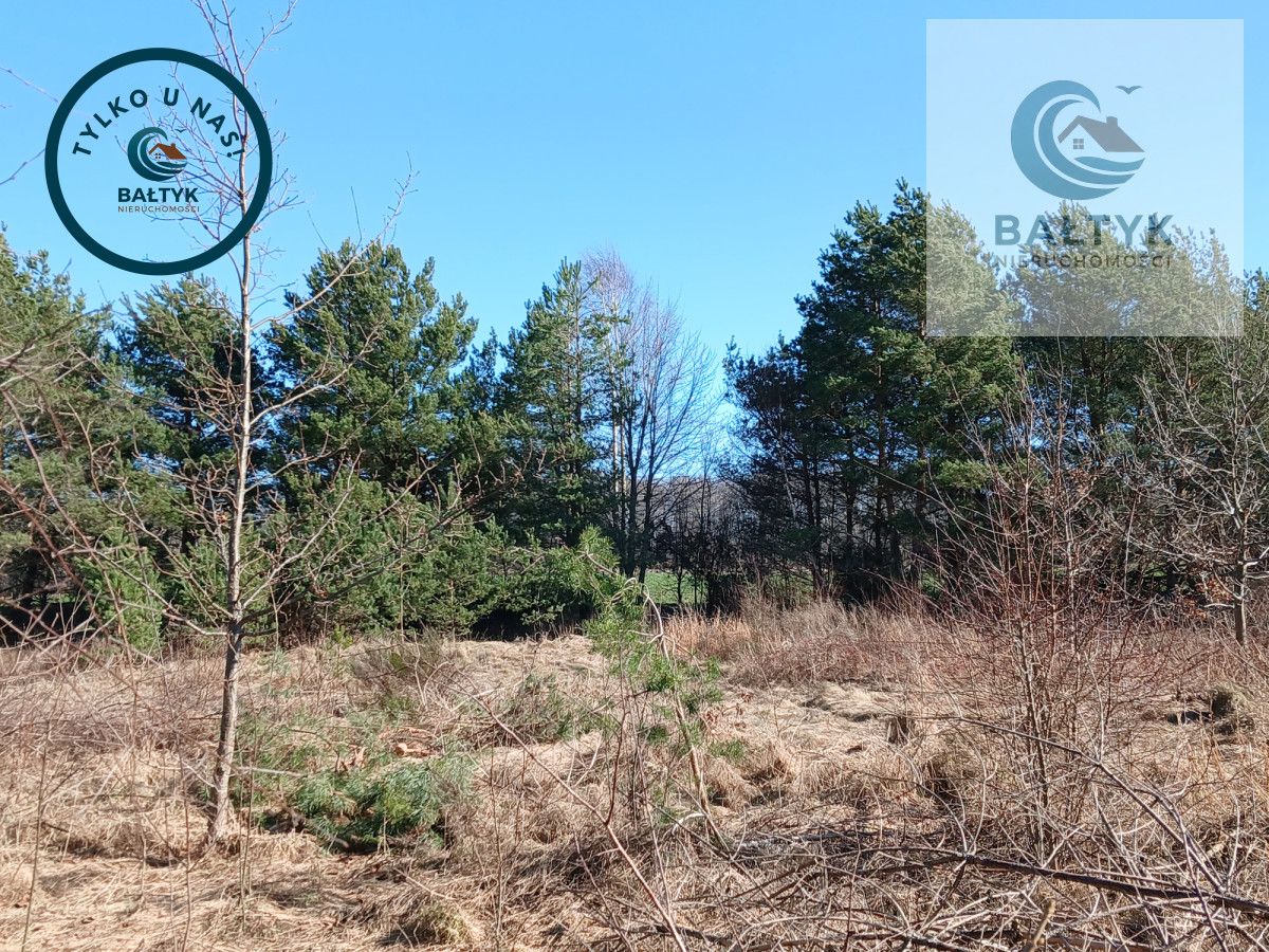 Działka budowlana Gowino. Zdjęcie 7