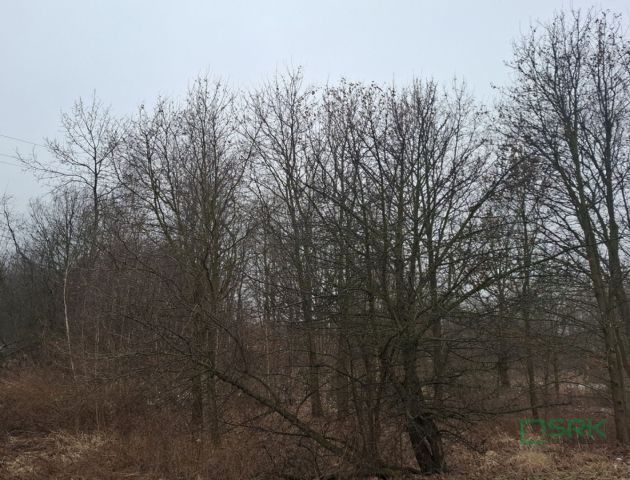 Działka inna Brzeszcze, ul. Przecieszyńska. Zdjęcie 3