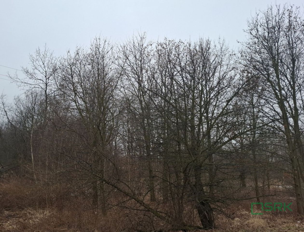 Działka Brzeszcze, ul. Przecieszyńska. Zdjęcie 3