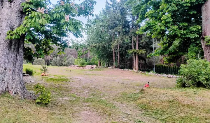 Działka budowlana Gardzin Gozdno