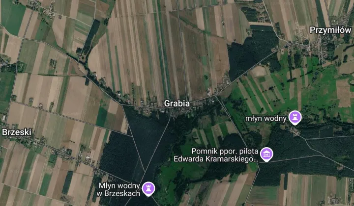 Działka siedliskowa Grabia Grabia Druga