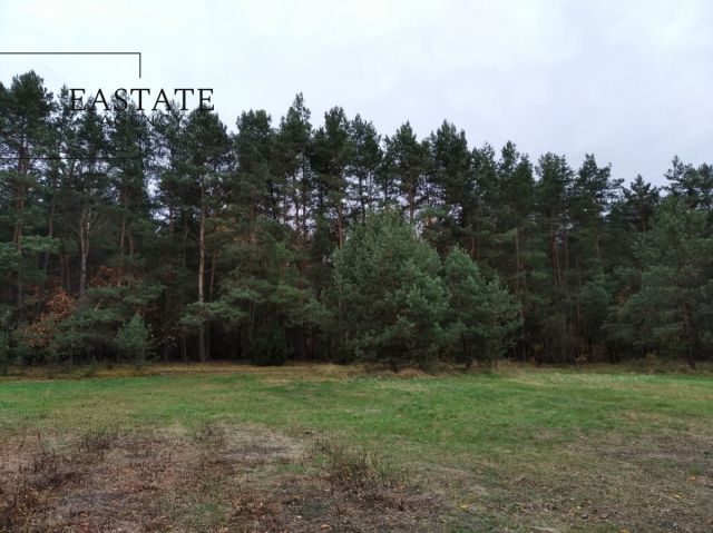 Działka rolna Cegielnia. Zdjęcie 5