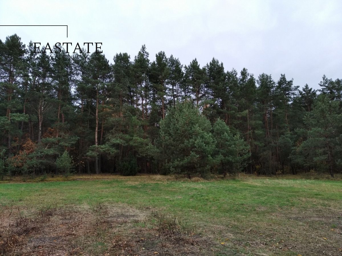 Działka rolna Cegielnia. Zdjęcie 5