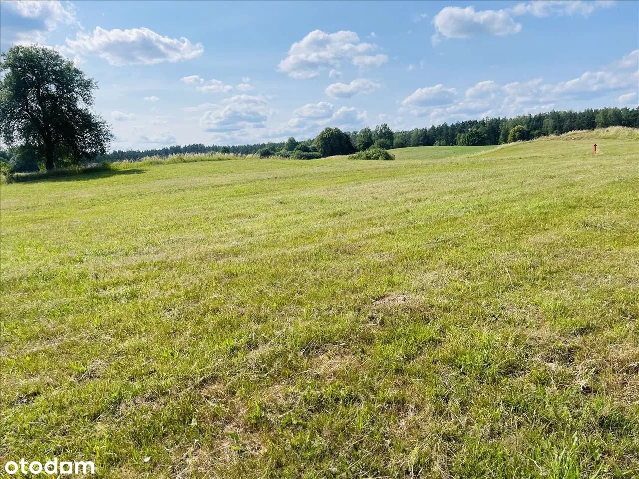 Działka budowlana Borowe. Zdjęcie 4