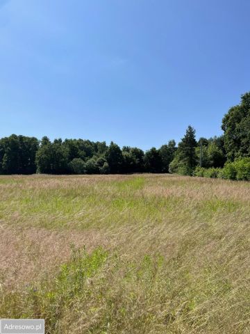 Działka budowlana Książenice, ul. Wiejska. Zdjęcie 1