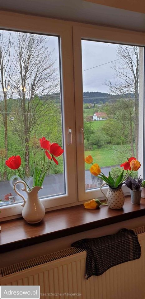 dom wolnostojący, 5 pokoi Las, ul. Zakopiańska. Zdjęcie 20