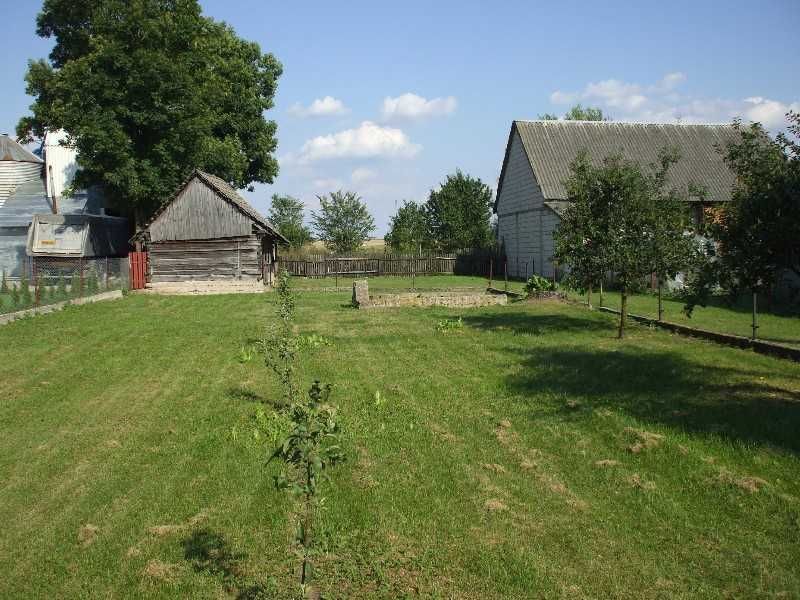 siedlisko Orla. Zdjęcie 3